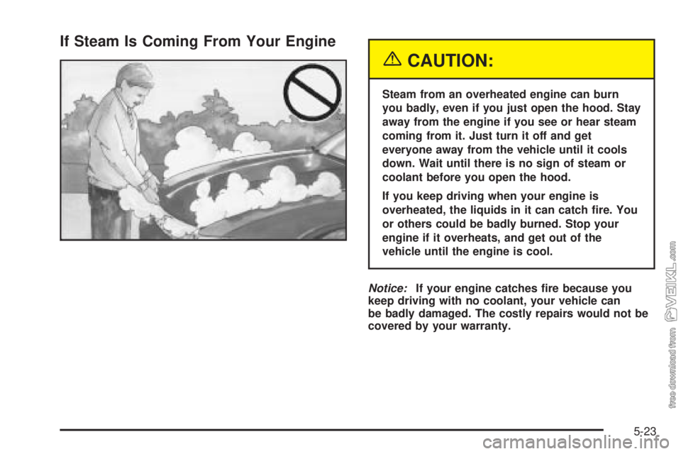 CHEVROLET CLASSIC 2004  Owners Manual If Steam Is Coming From Your Engine
{CAUTION:
Steam from an overheated engine can burn
you badly, even if you just open the hood. Stay
away from the engine if you see or hear steam
coming from it. Jus