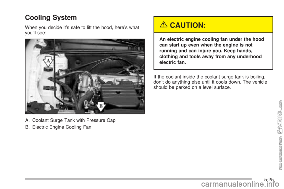 CHEVROLET CLASSIC 2004  Owners Manual Cooling System
When you decide it’s safe to lift the hood, here’s what
you’ll see:
A. Coolant Surge Tank with Pressure Cap
B. Electric Engine Cooling Fan{CAUTION:
An electric engine cooling fan 