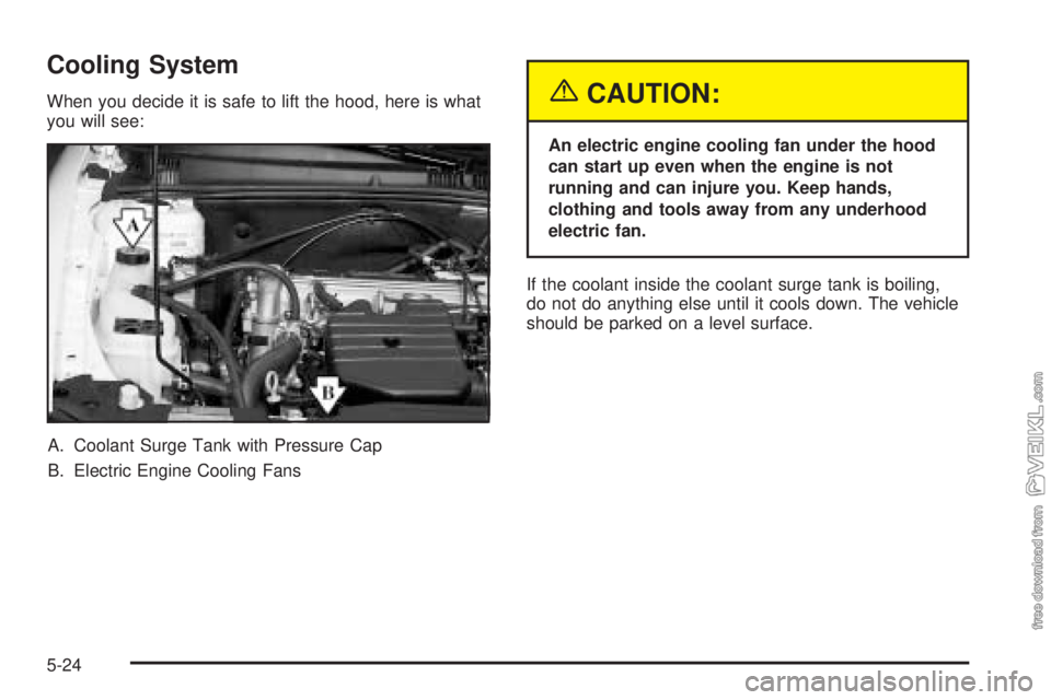 CHEVROLET CLASSIC 2005  Owners Manual Cooling System
When you decide it is safe to lift the hood, here is what
you will see:
A. Coolant Surge Tank with Pressure Cap
B. Electric Engine Cooling Fans{CAUTION:
An electric engine cooling fan u