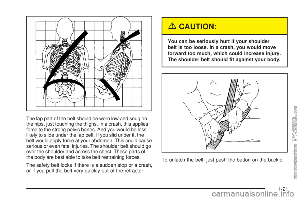 CHEVROLET CLASSIC 2005  Owners Manual The lap part of the belt should be worn low and snug on
the hips, just touching the thighs. In a crash, this applies
force to the strong pelvic bones. And you would be less
likely to slide under the l