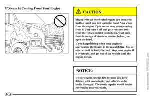 Page 243