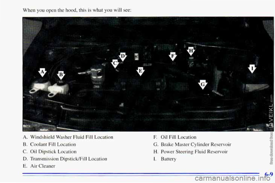 CHEVROLET ASTRO 1996  Owners Manual When you open the hood, this is what you will see: 
- 
A. Windshield  Washer  Fluid  Fill  Location 
B. Coolant  Fill  Location 
C. Oil  Dipstick  Location 
D. Transmission  Dipstick/Fill  Location 
E