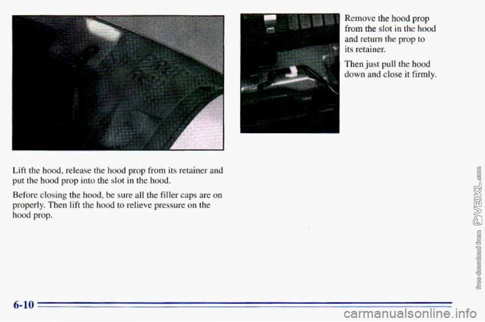 CHEVROLET ASTRO 1996  Owners Manual Lift the  hood,  release  the  hood  prop from  its  retainer  and 
put  the  hood  prop into 
the slot in  the  hood. 
Before  closing  the  hood,  be  sure all the filler caps are  on 
properly.  Th