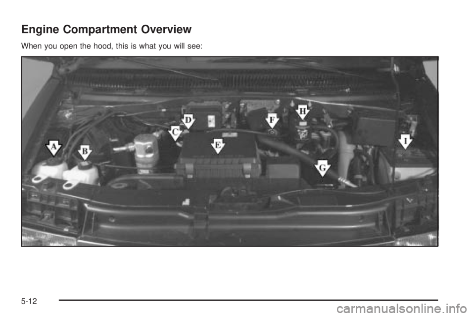 CHEVROLET ASTRO 2004  Owners Manual Engine Compartment Overview
When you open the hood, this is what you will see:
5-12 