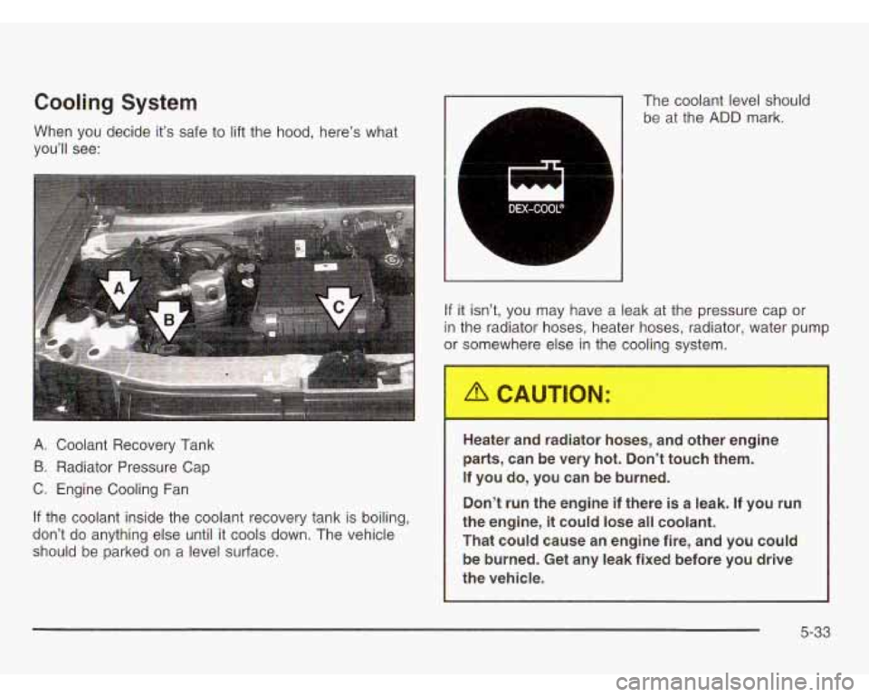CHEVROLET ASTRO 2003  Owners Manual Cooling System 
When  you  decide  it’s  safe to lift the  hood, here’s  what 
you’ll  see:  The 
coolant level should 
be  at the 
ADD mark. 
A. Coolant  Recovery  Tank 
B. Radiator Pressure  C