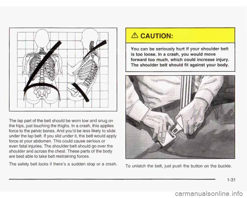 CHEVROLET ASTRO 2003  Owners Manual The  lap  part of the  belt  should  be worn low and  snug  on 
the  hips,  just touching  the  thighs. In a crash,  this applies 
force  to  the  pelvic  bones.  And you’d be less likely  to slide 