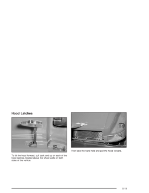 Page 225