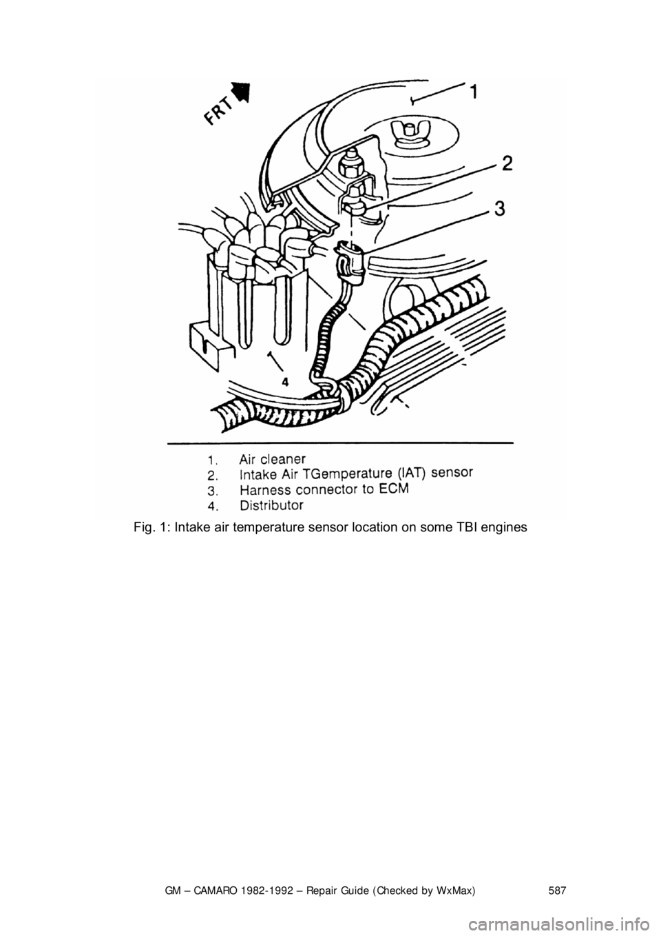 CHEVROLET CAMARO 1982  Repair Guide 
GM – CAMARO 1982-1992 – Repair Guide (Checked by WxMax) 587
 
Fig. 1: Intake air te mperature sensor location on some TBI engines 
  
