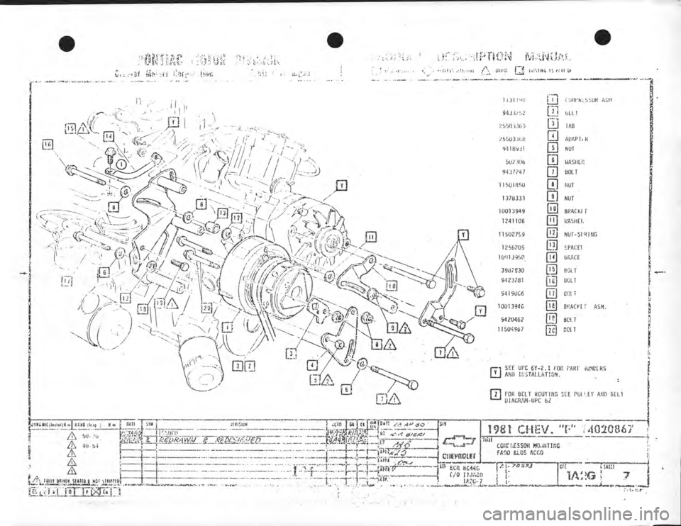 CHEVROLET CAMARO 1981  Assembly Manual 