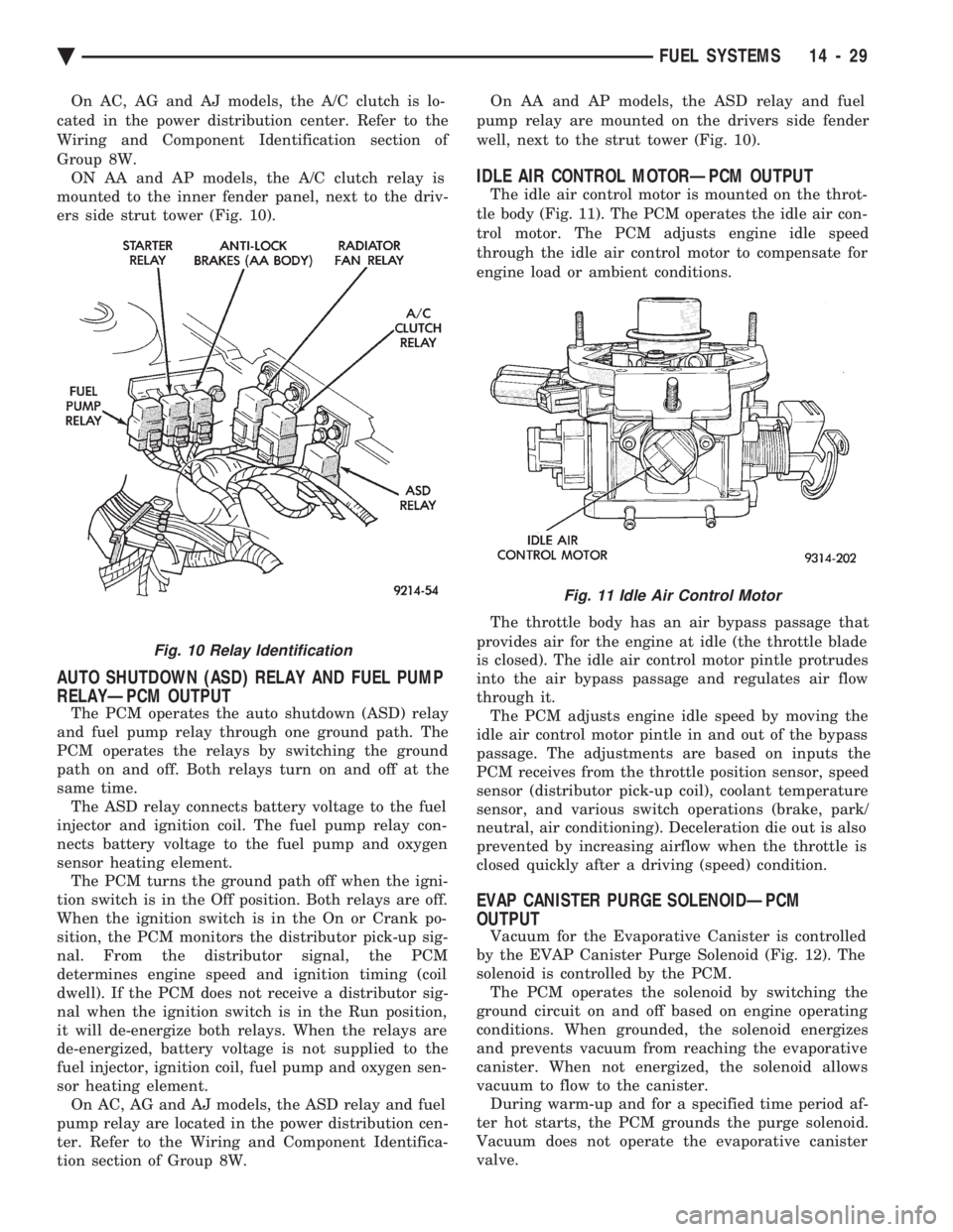 CHEVROLET DYNASTY 1993  Service Manual On AC, AG and AJ models, the A/C clutch is lo- 
cated in the power distribution center. Refer to the
Wiring and Component Identification section of
Group 8W.  ON AA and AP models, the A/C clutch relay