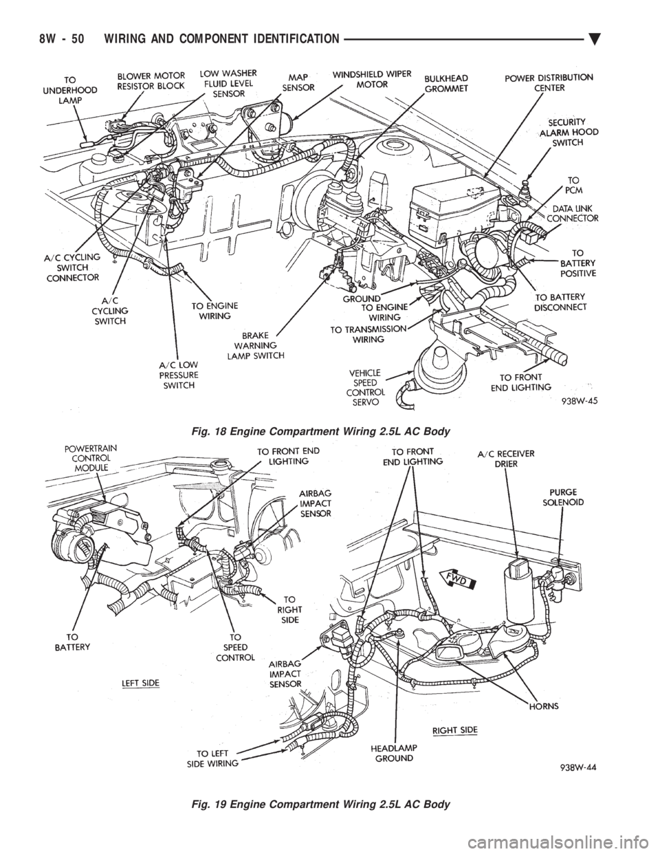 CHEVROLET DYNASTY 1993  Service Manual Fig. 18 Engine Compartment Wiring 2.5L AC Body
Fig. 19 Engine Compartment Wiring 2.5L AC Body
8W - 50 WIRING AND COMPONENT IDENTIFICATION Ä 