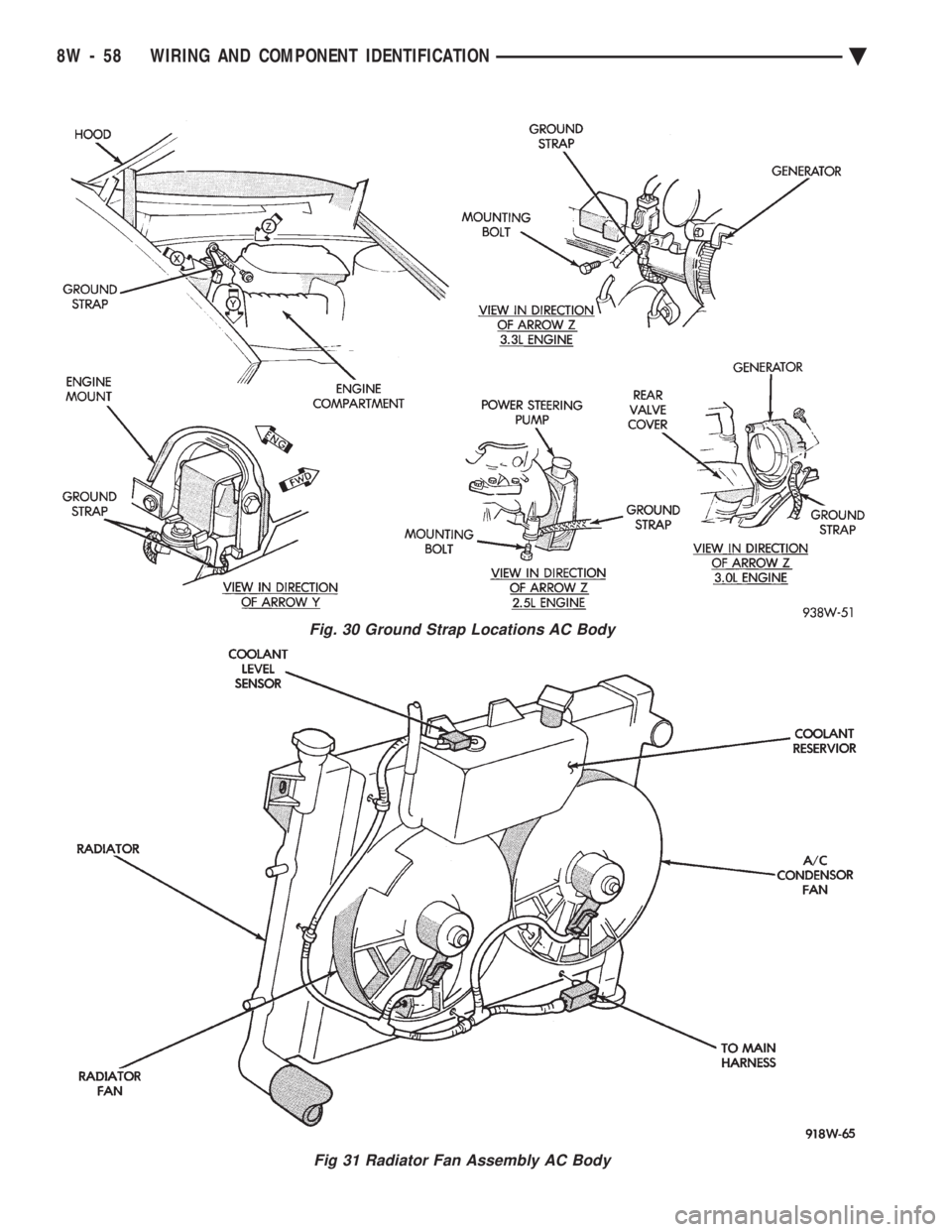 CHEVROLET DYNASTY 1993  Service Manual Fig. 30 Ground Strap Locations AC Body
Fig 31 Radiator Fan Assembly AC Body
8W - 58 WIRING AND COMPONENT IDENTIFICATION Ä 