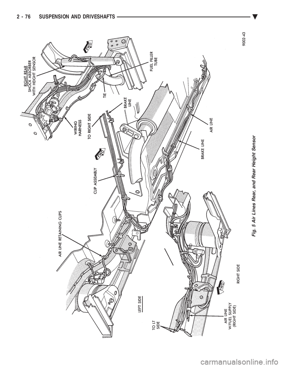 CHEVROLET PLYMOUTH ACCLAIM 1993  Service Manual Fig. 5 Air Lines Rear, and Rear Height Sensor
2 - 76 SUSPENSION AND DRIVESHAFTS Ä 