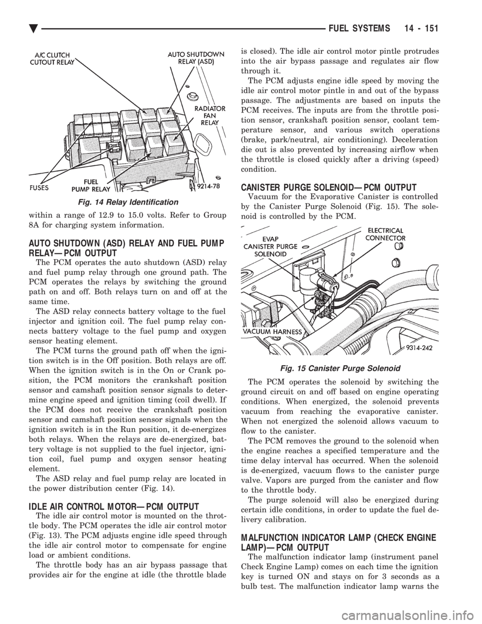 CHEVROLET PLYMOUTH ACCLAIM 1993 Service Manual within a range of 12.9 to 15.0 volts. Refer to Group
8A for charging system information.
AUTO SHUTDOWN (ASD) RELAY AND FUEL PUMP
RELAYÐPCM OUTPUT
The PCM operates the auto shutdown (ASD) relay
and CHEVROLET PLYMOUTH ACCLAIM 1993 Service Manual within a range of 12.9 to 15.0 volts. Refer to Group
8A for charging system information.
AUTO SHUTDOWN (ASD) RELAY AND FUEL PUMP
RELAYÐPCM OUTPUT
The PCM operates the auto shutdown (ASD) relay
and