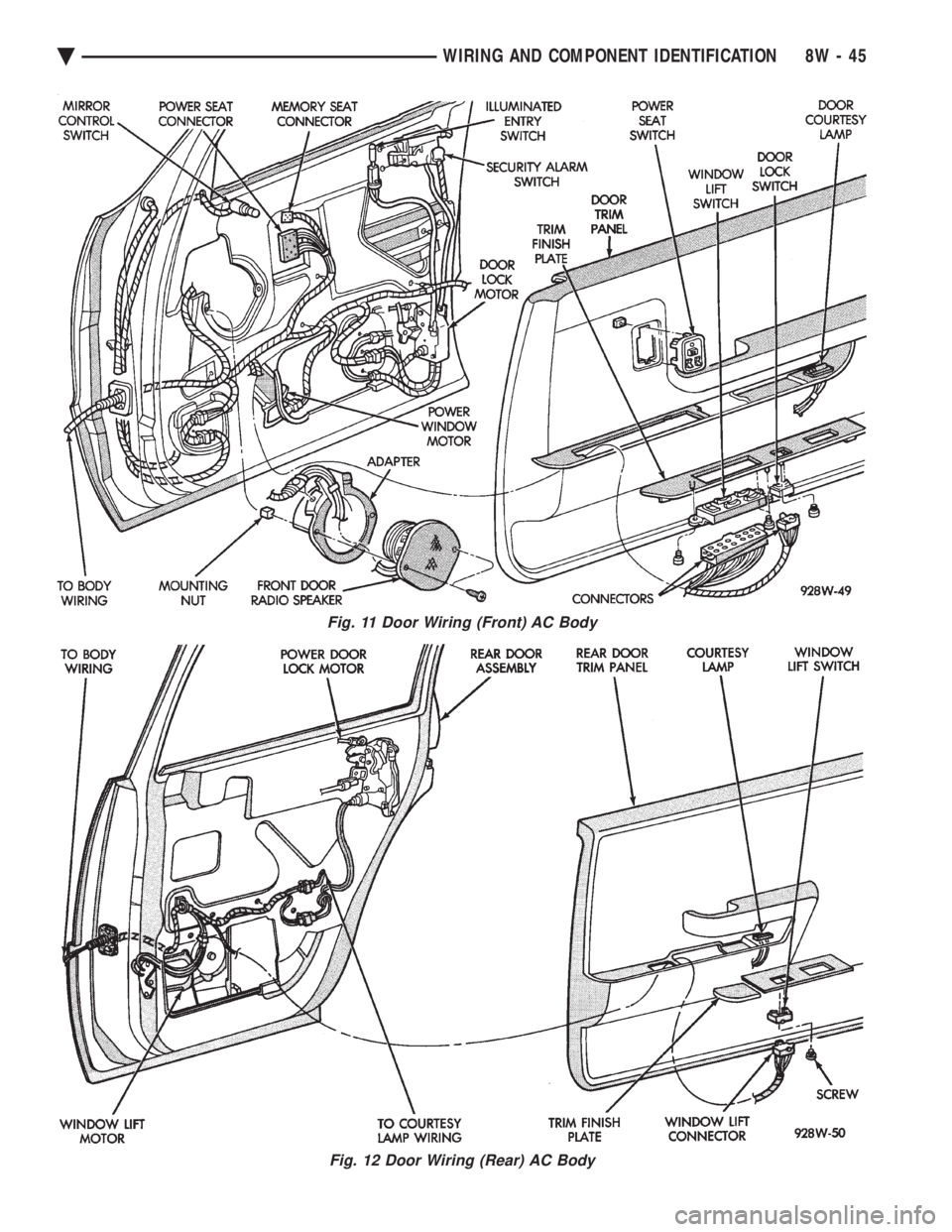 CHEVROLET PLYMOUTH ACCLAIM 1993  Service Manual Fig. 11 Door Wiring (Front) AC Body
Fig. 12 Door Wiring (Rear) AC Body
Ä WIRING AND COMPONENT IDENTIFICATION 8W - 45 