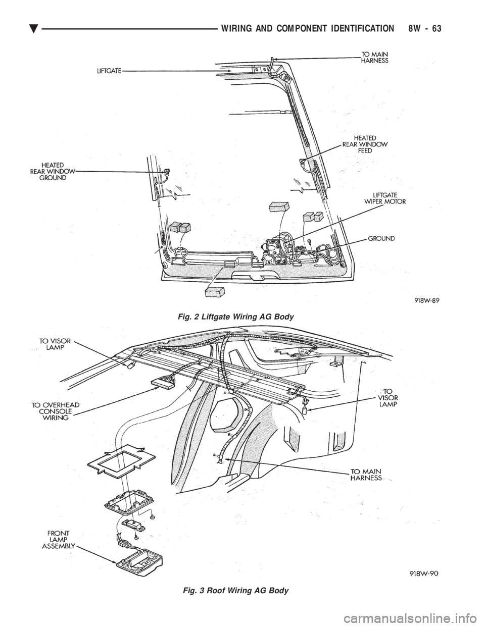 CHEVROLET PLYMOUTH ACCLAIM 1993  Service Manual Fig. 2 Liftgate Wiring AG Body
Fig. 3 Roof Wiring AG Body
Ä WIRING AND COMPONENT IDENTIFICATION 8W - 63 