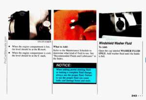 Page 247