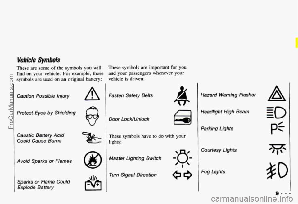 CHEVROLET CAMARO 1993  Owners Manual I 
Vehicle Symbok 
These  are  some of the  symbols  you  will 
find on your  vehicle.  For  example,  these 
symbols  are  used  on an  original  battery:  These  symbols  are  important  for  you 
a