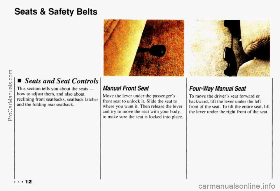 CHEVROLET CAMARO 1993  Owners Manual Seats & Safety Belts 
I 
1 
i 
. 12 
Seats and Seat Controls 
This section  tells you about the seats - 
how to adjust  them,  and  also about 
reclining  front  seatbacks, seatback  latches 
and 
the