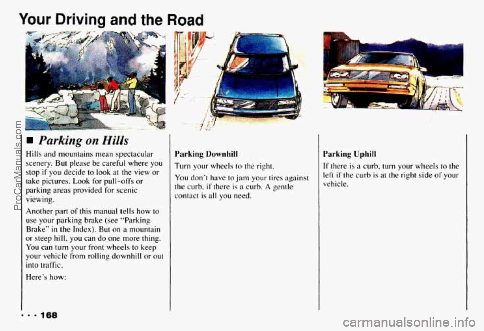 CHEVROLET CAMARO 1993  Owners Manual Your Driving and the Road 
Parking on Hills 
Hills  and  mountains  mean spectacular 
scenery. 
But please  be  careful  where  you 
stop 
if you  decide to look  at  the  view  or 
take  pictures.  L