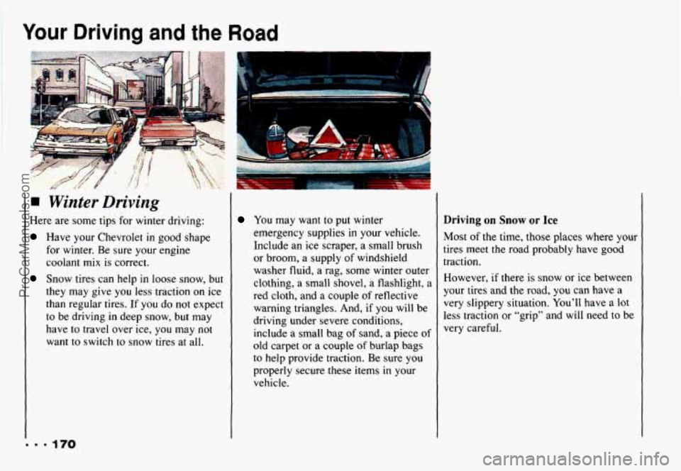 CHEVROLET CAMARO 1993  Owners Manual Your Driving and the Road 
Winter Driving 
Here are some tips for winter  driving: 
Have your  Chevrolet in good shape 
for  winter.  Be  sure  your  engine 
coolant  mix is correct. 
Snow  tires can 
