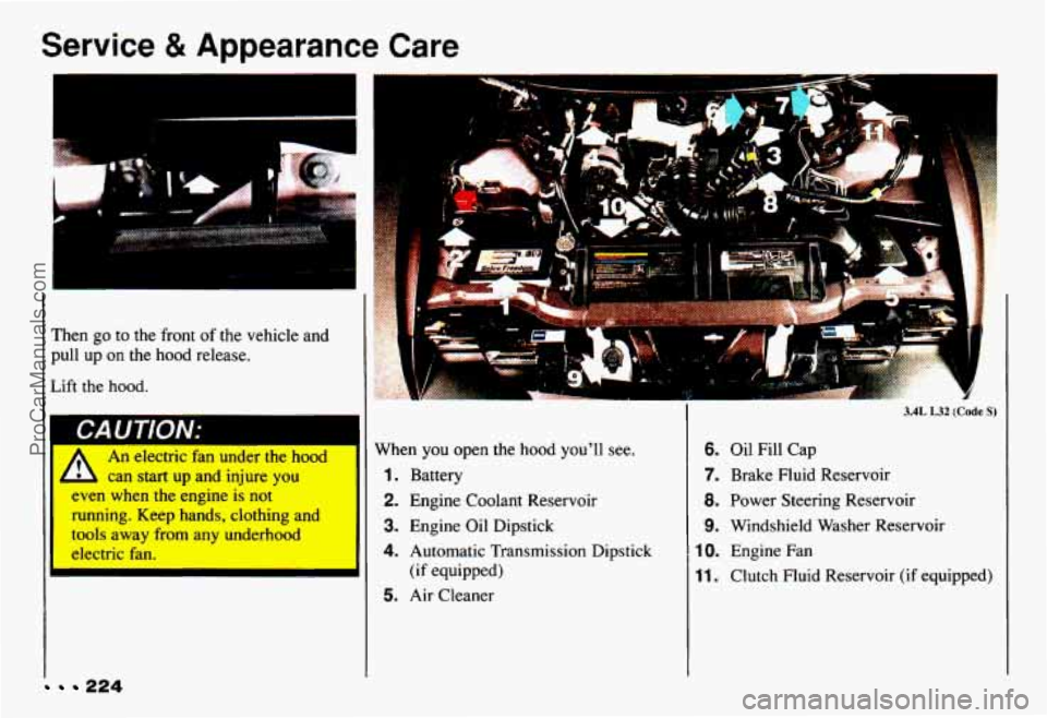 CHEVROLET CAMARO 1993  Owners Manual Service 8t Appearance Care 
c 
Then go to the front of the vehicle  and 
pull  up  on  the  hood  release. 
Lift 
the hood. 
I 
I CAUTION: 
An  electric  fan  under the hood 
can  start  up and  injur