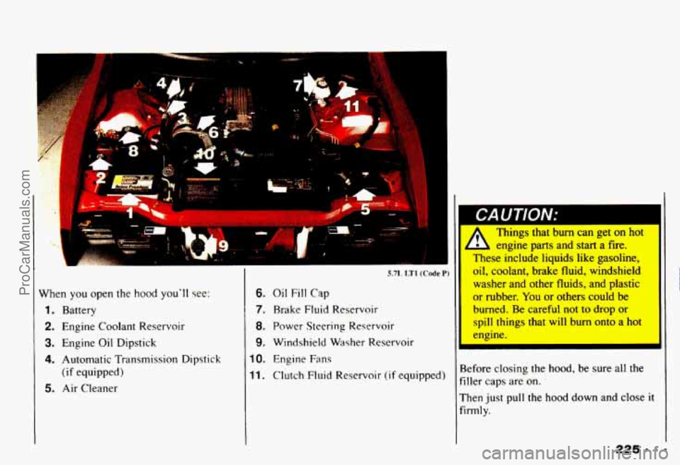 CHEVROLET CAMARO 1993  Owners Manual \I I 
-:E= 1 
f 
I 
When you open  the hood youll see: 
1. Battery 
2. Engine  Coolant  Reservoir 
3. Engine Oil Dipstick 
4. Automatic  Transmission  Dipstick 
5. Air Cleaner 
(if  equipped) 
II 
6.
