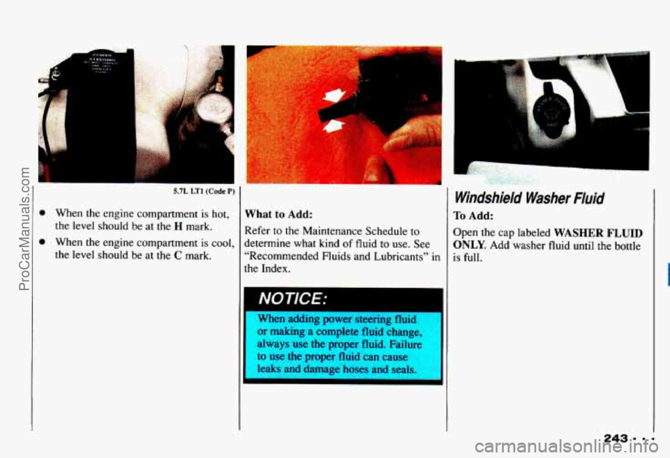CHEVROLET CAMARO 1993  Owners Manual 0 
0 
5.7L LTl (Code P) 
When  the  engine  compartment  is  hot, 
the  level  should  be  at  the 
H mark. 
When  the  engine  compartment  is  cool, 
the  level  should  be  at  the 
C mark. 
;.,, 
