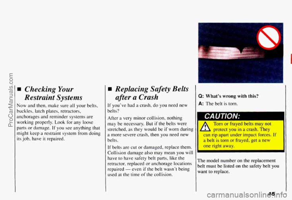 CHEVROLET CAMARO 1993  Owners Manual Checking Your 
Restraint  Systems 
Vow and then,  make  sure all your  belts, 
mckles,  latch  plates,  retractors, 
Inchorages  and  reminder  systems are 
working  properly.  Look  for  any  loose 
