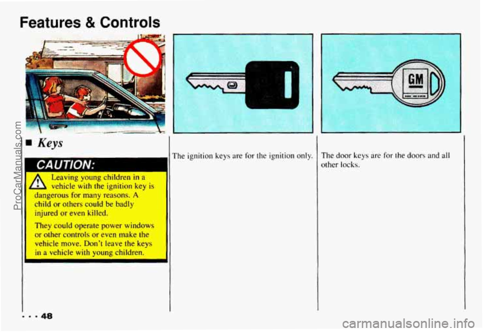 CHEVROLET CAMARO 1993  Owners Manual Features & Controls 
4 Keys 
The  ignition  keys are for the  ignition only. 
Leaving young children in a 
d L vehicle with the ignition key is 
dangerous  for  many reasons. A 
child or others could 