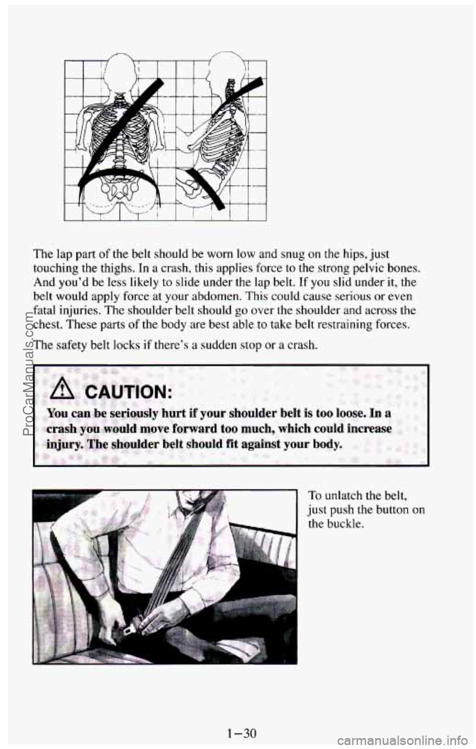 CHEVROLET SUBURBAN 1994  Owners Manual The  lap part of the  belt  should  be  worn  low  and  snug on the hips, just 
touching  the  thighs.  In 
a crash,  this applies force to the  strong  pelvic  bones. 
And  you’d  be less  likely 

