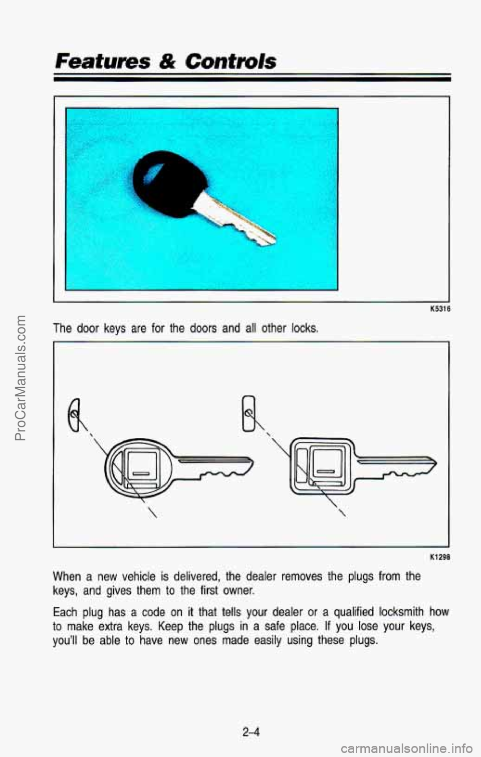 CHEVROLET SUBURBAN 1993  Owners Manual a 
K5316 
The door keys  are  for  the  doors  and  all  other  locks. 
 
  
K1298 
When  a  new  vehicle is delivered,  the  dealer  removes  the  plugs  from  the 
keys,  and  gives  them  to  the  