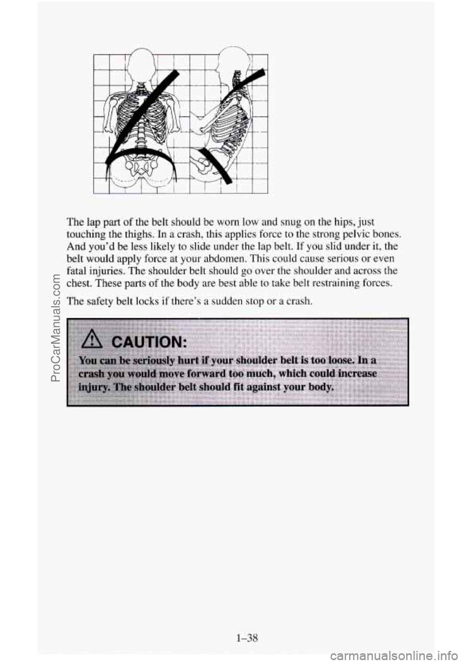 CHEVROLET SUBURBAN 1996  Owners Manual The  lap  part of the belt should be  worn low and snug on the hips,  just 
touching  the thighs. In 
a crash, this applies  force  to the strong pelvic  bones. 
And  you’d  be  less  likely to slid