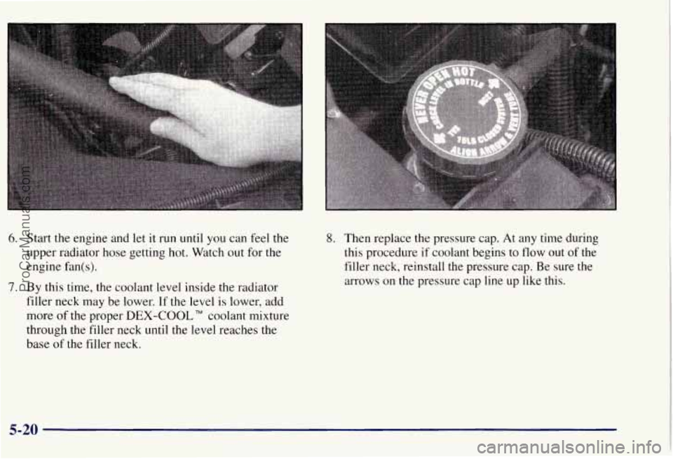 CHEVROLET SUBURBAN 1997  Owners Manual 6. Start the engine and  let it run until  you can feel the 
upper  radiator hose getting hot.  Watch out  for  the 
engine  fan( 
s). 
7. By this time, the coolant  level inside the radiator 
filler 