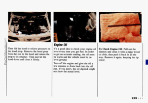 Page 231