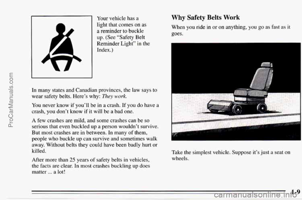 CHEVROLET TRACKER 1995  Owners Manual Your vehicle has a 
light that  comes 
on as 
a reminder to buckle 
up. (See “Safety Belt 
Reminder Light”  in the 
Index.) 
In  many  states and Canadian provinces, the  law says to 
wear safety 