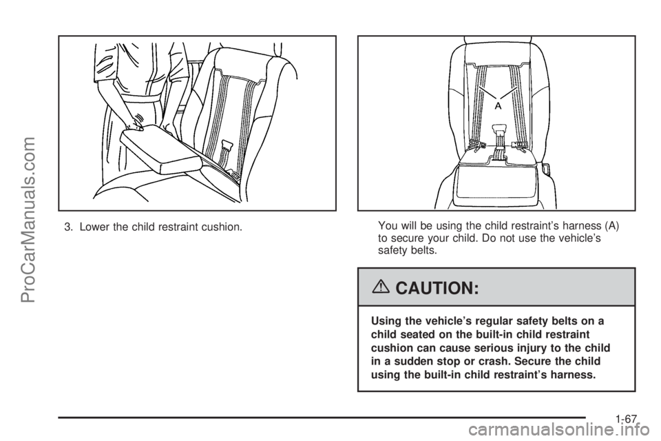 CHEVROLET UPLANDER 2006  Owners Manual 3. Lower the child restraint cushion.You will be using the child restraint’s harness (A)
to secure your child. Do not use the vehicle’s
safety belts.
{CAUTION:
Using the vehicle’s regular safety