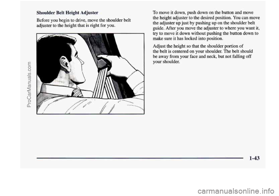 CHEVROLET VENTURE 1998  Owners Manual Shoulder  Belt  Height Adjuster To move  it down, push  down  on the  button  and  move 
Before  you  begin  to  drive,  move the shoulder  belt  the 
height  adjuster  to  the  desired  position.  Yo