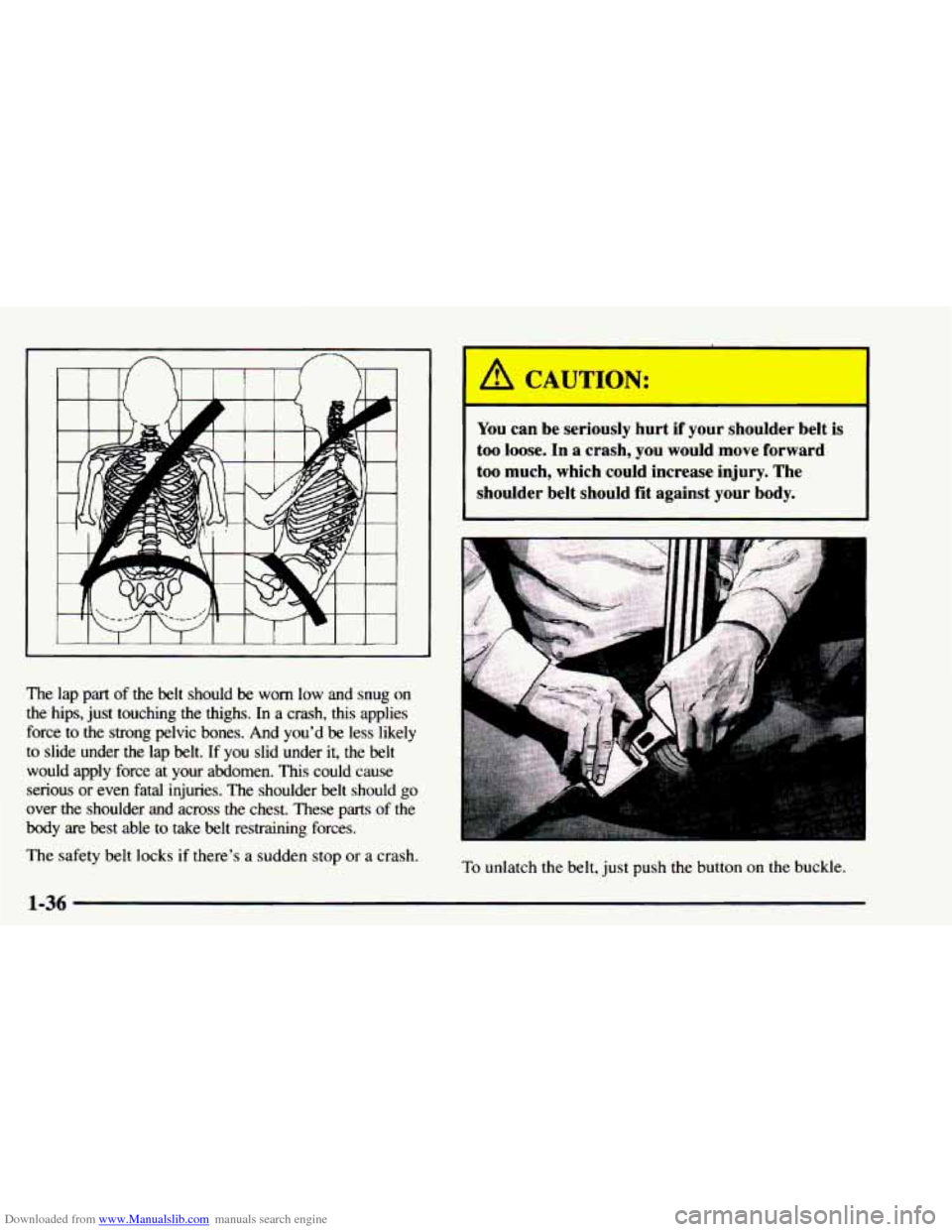 CHEVROLET ASTRO 1997 2.G Owners Manual Downloaded from www.Manualslib.com manuals search engine The lap  part of the  belt  should be worn  low  and  snug on 
the  hips,  just touching  the  thighs.  In  a  crash,  this  applies 
force  to