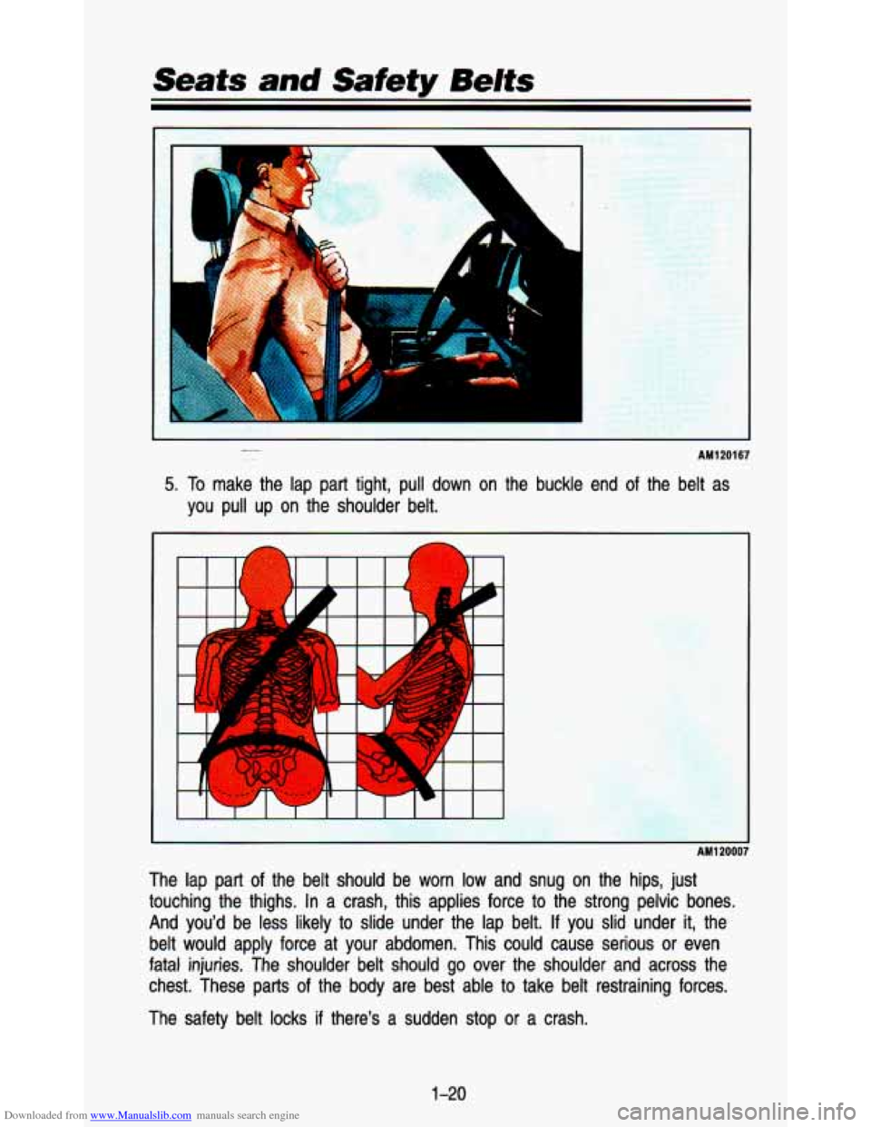 CHEVROLET ASTRO PASSENGER 1993 1.G Owners Manual Downloaded from www.Manualslib.com manuals search engine Seats and Safety Belts 
L 
AM120167 
5. To make  the  lap  part  tight,  pull  down  on  the  buckle  end  of  the \
 belt  as 
you  pull  up  