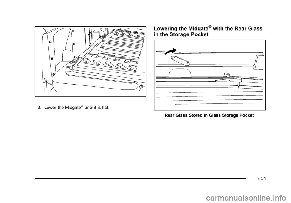 CHEVROLET AVALANCHE 2010 2.G Owners Manual 