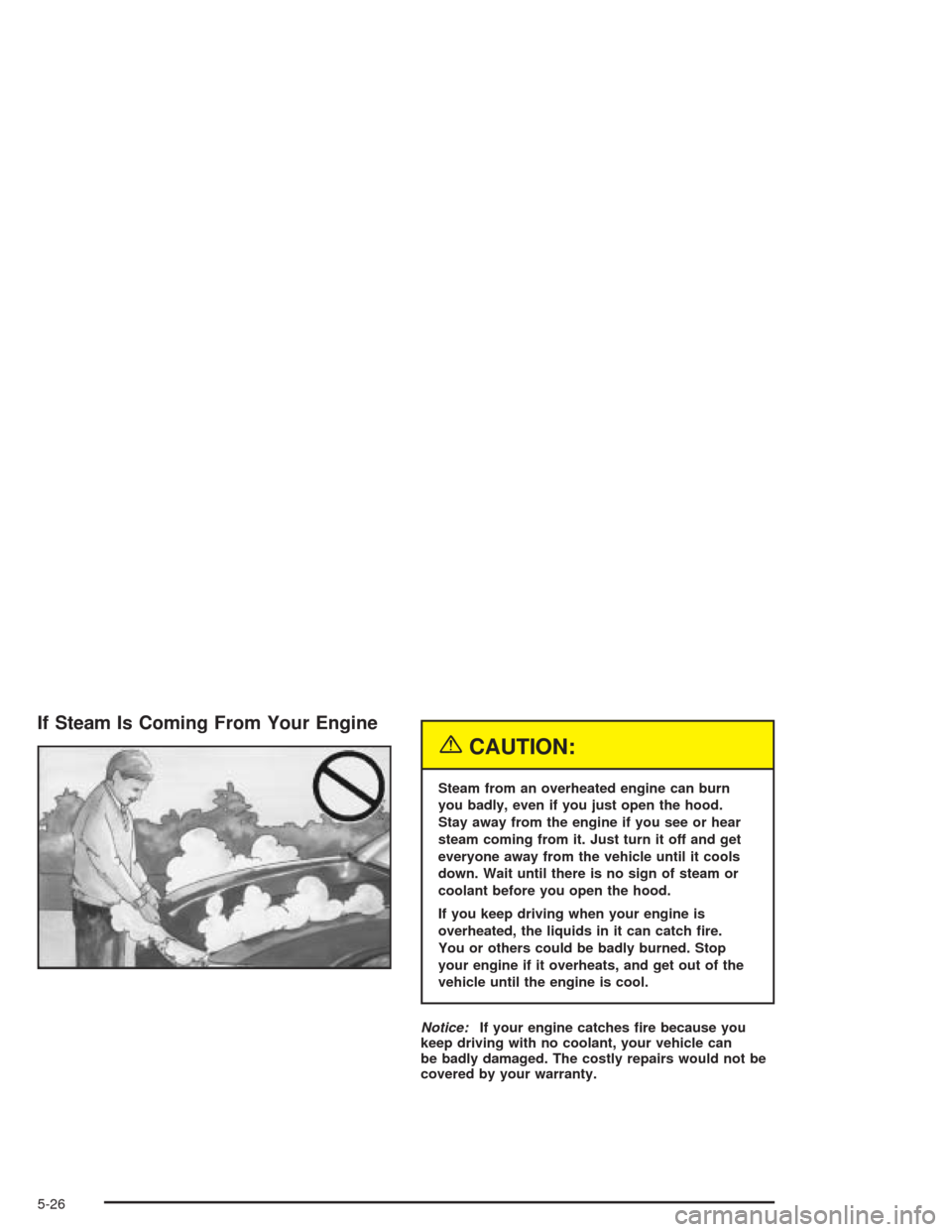 CHEVROLET AVEO 2004 1.G Owners Manual If Steam Is Coming From Your Engine
{CAUTION:
Steam from an overheated engine can burn
you badly, even if you just open the hood.
Stay away from the engine if you see or hear
steam coming from it. Jus