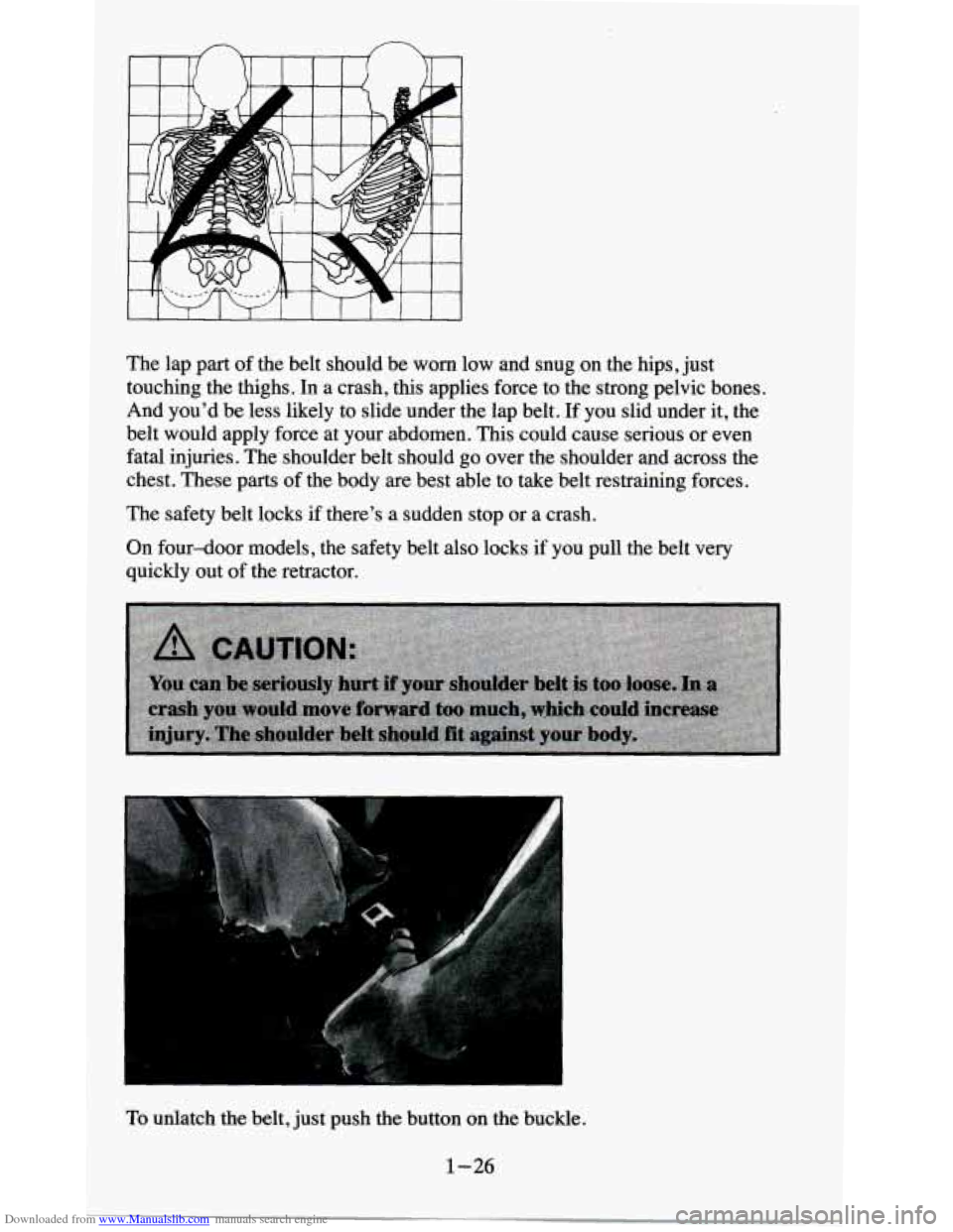 CHEVROLET BLAZER 1995 2.G Owners Manual Downloaded from www.Manualslib.com manuals search engine I I It 
The lap part of the  belt  should  be worn low  and  snug  on the  hips,  just 
touching  the  thighs.  In  a crash, this  applies  for