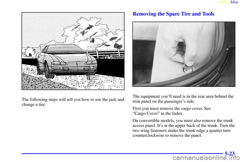 CHEVROLET CAMARO 1999 4.G Owners Manual yellowblue     
5-23
The following steps will tell you how to use the jack and
change a tire.
Removing the Spare Tire and Tools
The equipment youll need is in the rear area behind the
trim panel on t