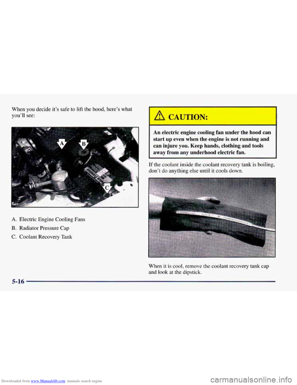 CHEVROLET CAMARO 1998 4.G Owners Manual Downloaded from www.Manualslib.com manuals search engine When  you  decide  it’s safe to lift  the  hood,  here’s  what 
you’ll 
see: 
c‘ 
I 
A. Electric  Engine  Cooling  Fans 
B. Radiator  P