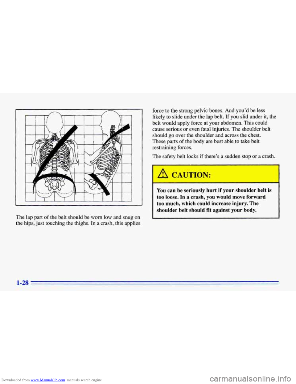 CHEVROLET CAVALIER 1996 3.G Owners Manual Downloaded from www.Manualslib.com manuals search engine The lap part of the  belt  should  be  worn  low  and  snug  on 
the  hips,  just touching  the  thighs. 
In a  crash,  this  applies  force  t