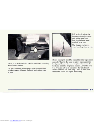 Page 251