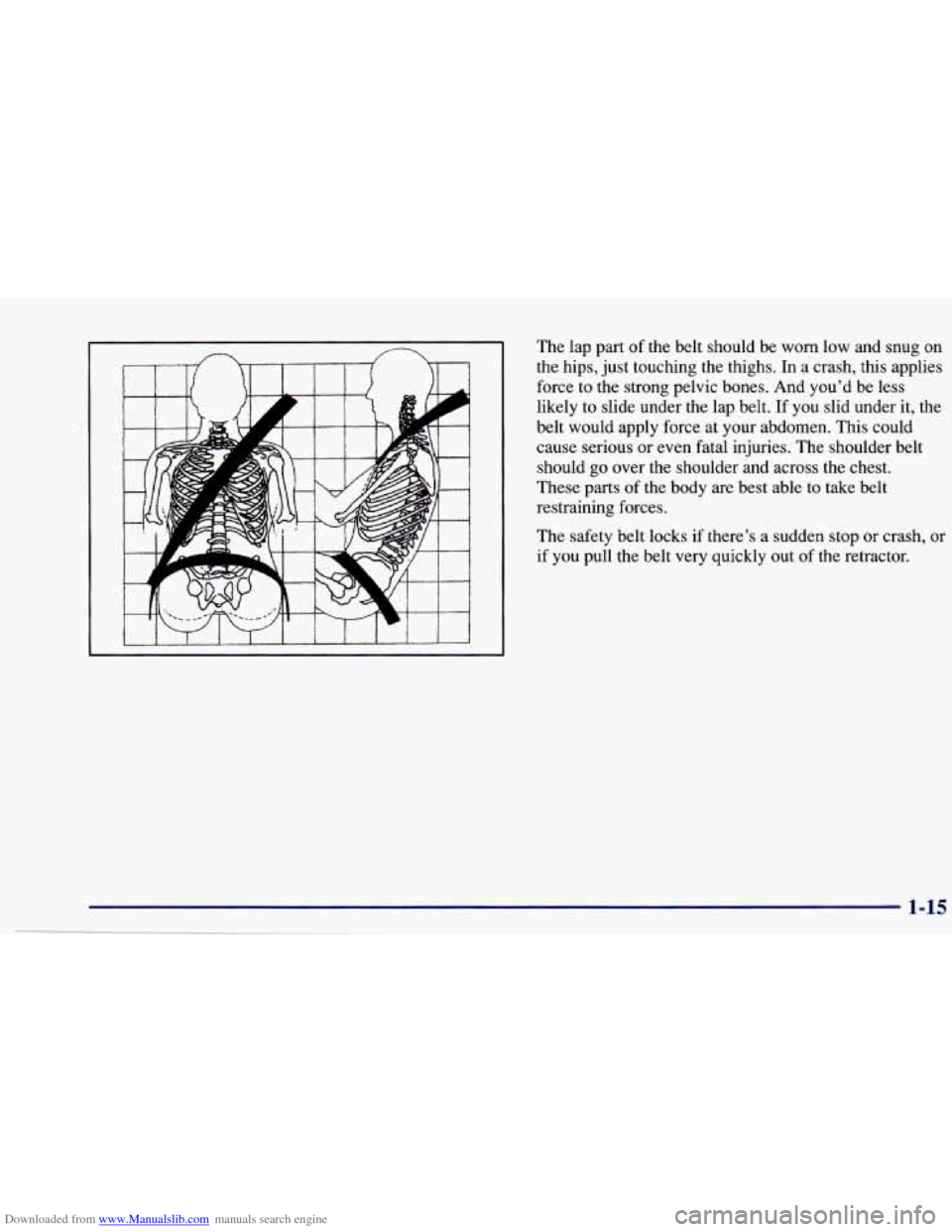 CHEVROLET CAVALIER 1997 3.G Owners Manual Downloaded from www.Manualslib.com manuals search engine The lap part of the  belt  should  be worn low  and  snug  on 
the  hips,  just touching  the thighs.  In 
a crash,  this  applies 
force  to  