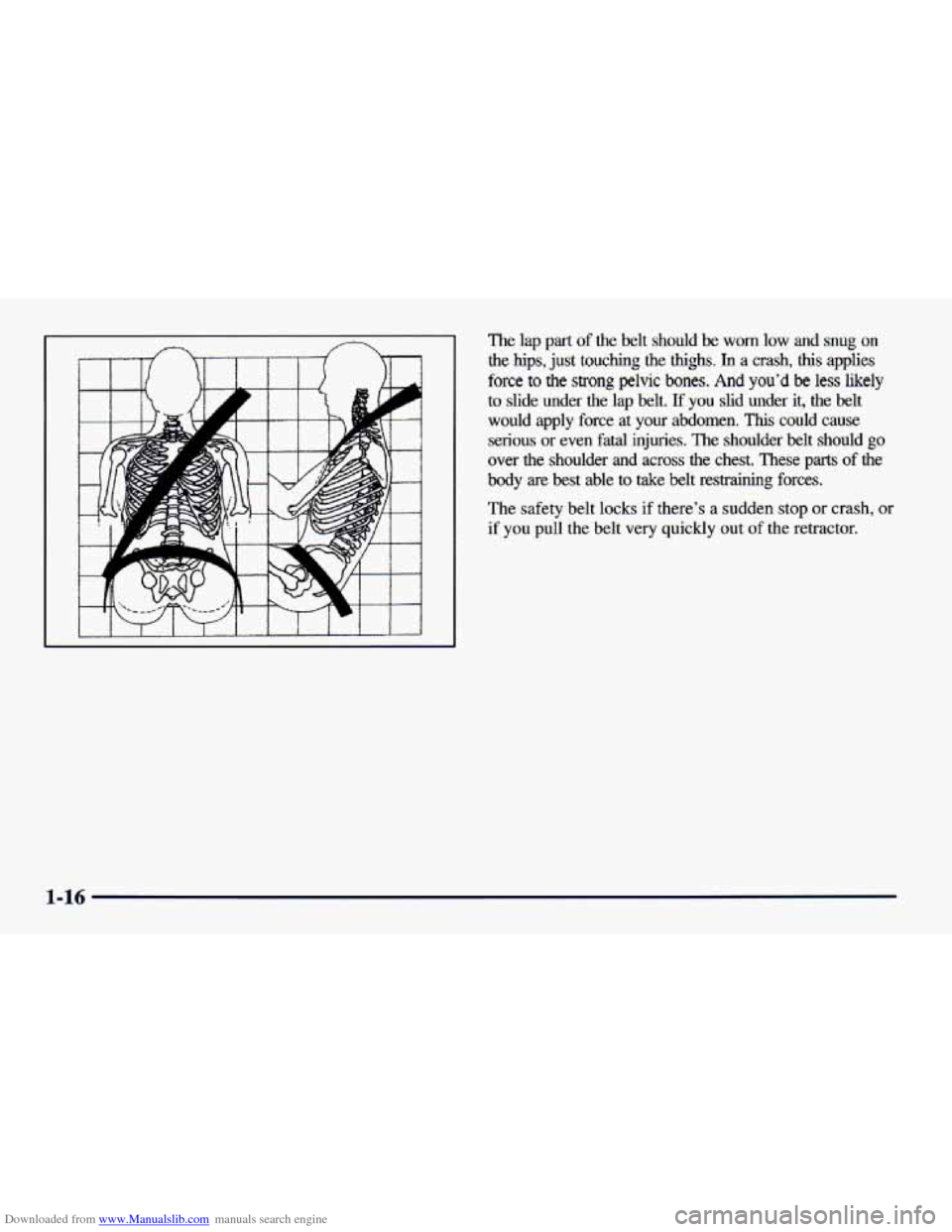 CHEVROLET CAVALIER 1998 3.G Owners Manual Downloaded from www.Manualslib.com manuals search engine The lap  part of the belt  should be worn low an n 
the hips, just touching the thighs. In a crash, this appues 
force to the strong pelvic bon