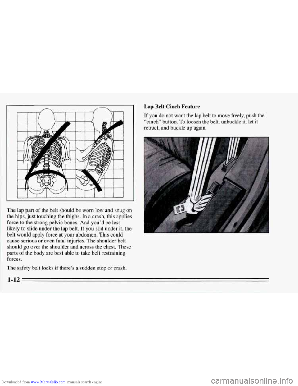 CHEVROLET CORVETTE 1995 4.G Owners Manual Downloaded from www.Manualslib.com manuals search engine The  lap part of the  belt should be worn low  and snug on 
the  hips,  just touching  the thighs. In a crash,  this applies 
force  to  the  s
